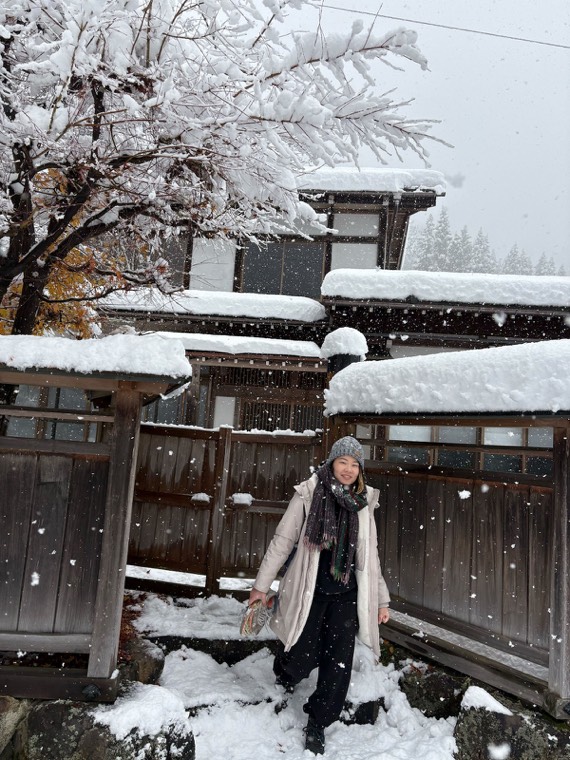 Snow falling at the gate